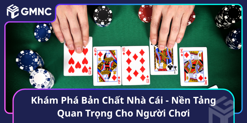 Khám Phá Bản Chất Nhà Cái - Nền Tảng Quan Trọng Cho Người Chơi